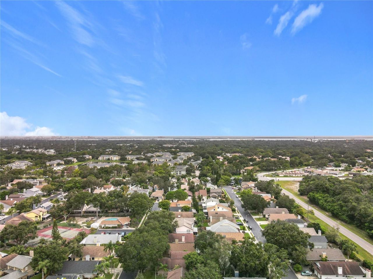 1876 Springbush Lane, Clearwater, FL 33763 Photo