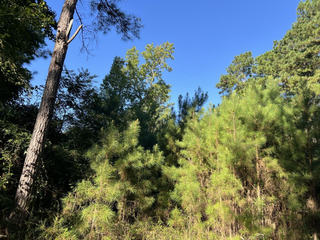 1060 Quail Path Photo 1