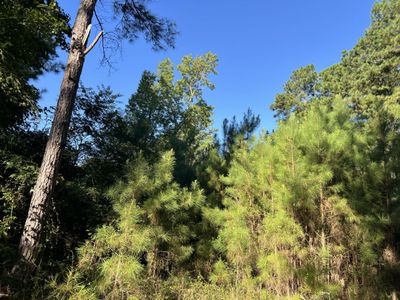 1060 Quail Path, Santee, SC 29142