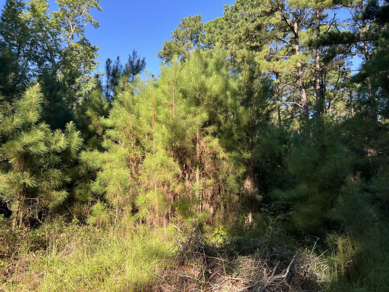 1060 Quail Path Photo 2