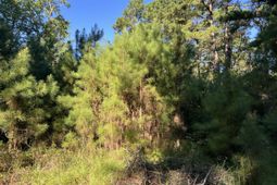 1060 Quail Path photo 4