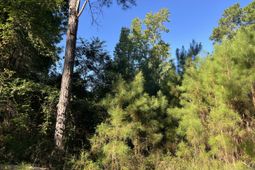 1060 Quail Path photo 4