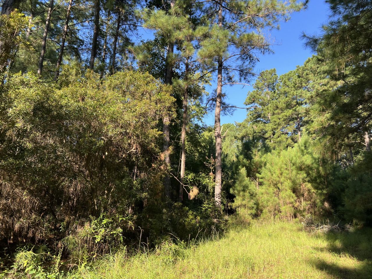 1060 Quail Path Photo 4