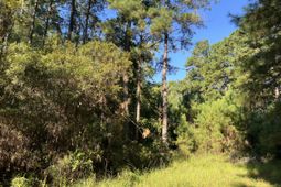 1060 Quail Path photo 4