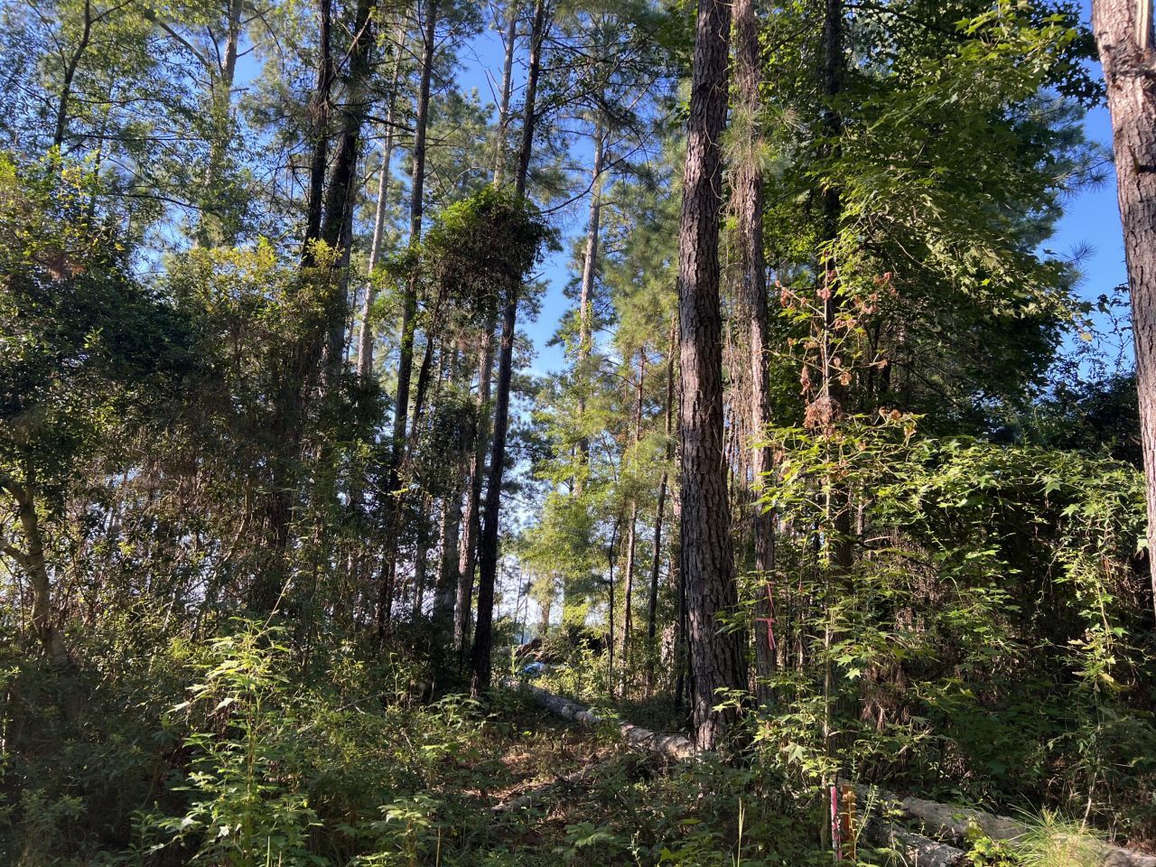 1060 Quail Path Photo 5