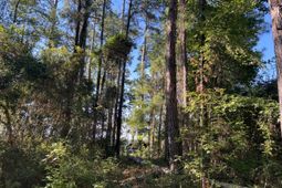 1060 Quail Path photo 4