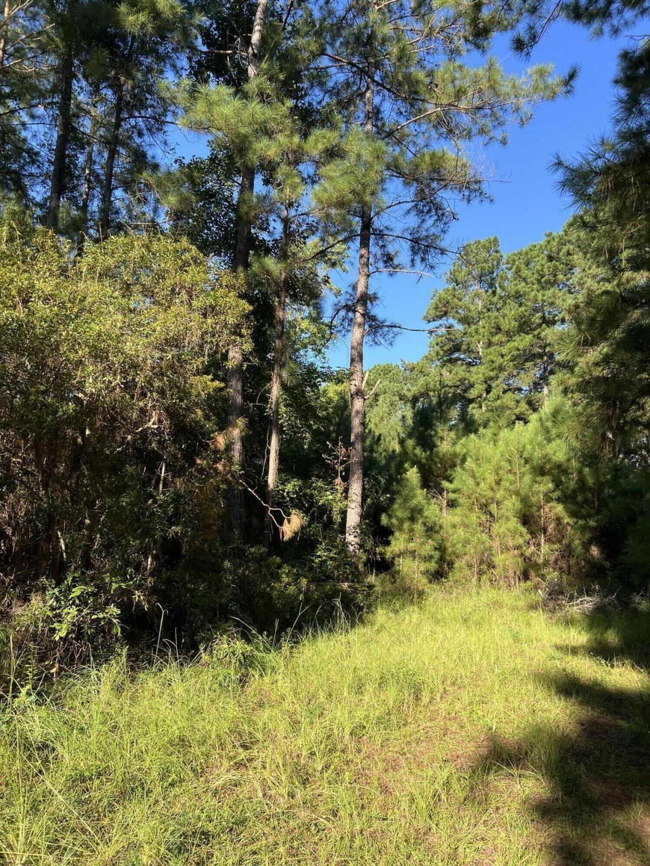 1060 Quail Path Photo 7