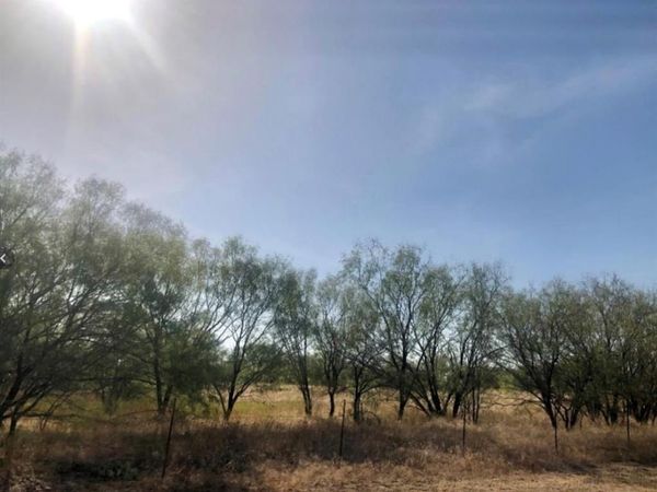 TBD FM 266, Gustine, TX 76455