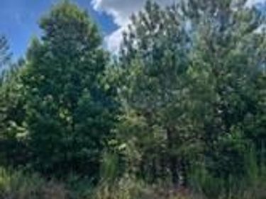 4711 Grandview Parkway, Flowery Branch, GA 30542