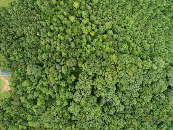 6269 Trojan Drive, Gainesville, GA 30506