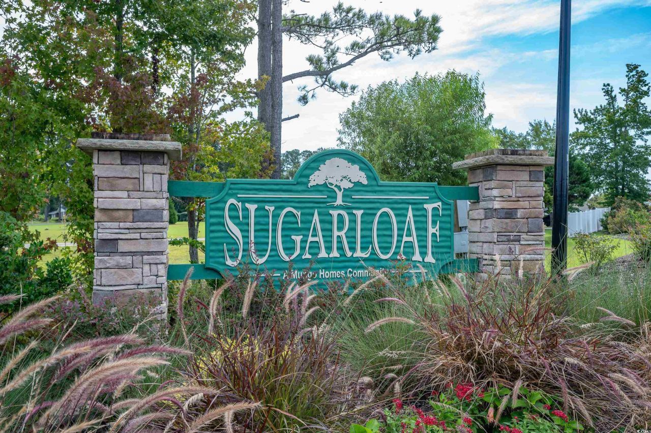 220 Averyville Dr. Photo 37