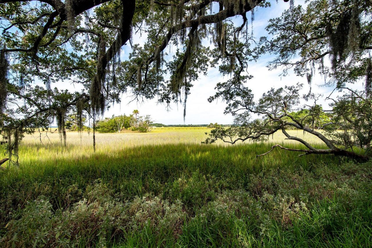 2138 Landfall Way Photo 21