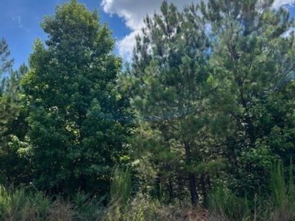 4711 Grandview Parkway, Flowery Branch, GA 30542