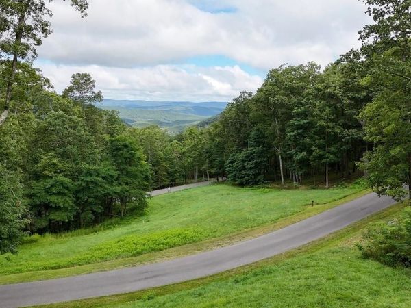 15 DELAFIELD RD, Unit 15, HOT SPRINGS, VA 24445