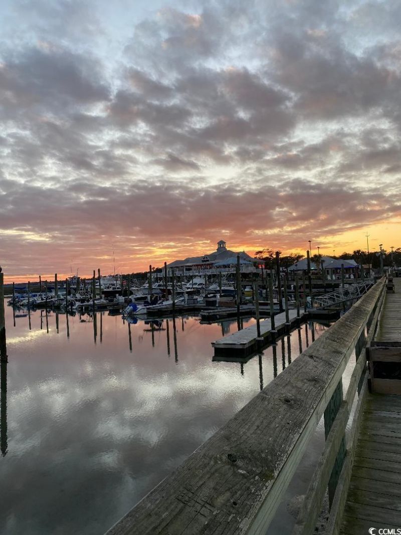 883 Birch Garden Dr. Photo 27