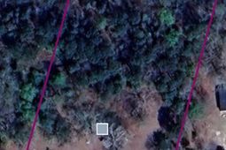 819 Lee Gunter Road photo 4