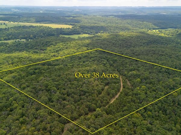 000 Merritt Road, Chadwick, MO 65629