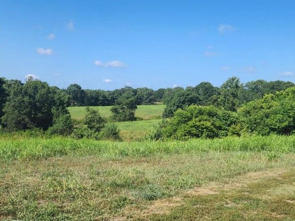 000 State Hwy 90 -65 Acres +/-, Washburn, MO 65772