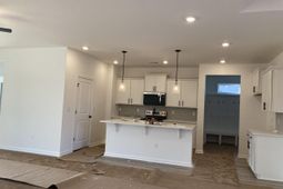 137 River Birch Dr. photo 4