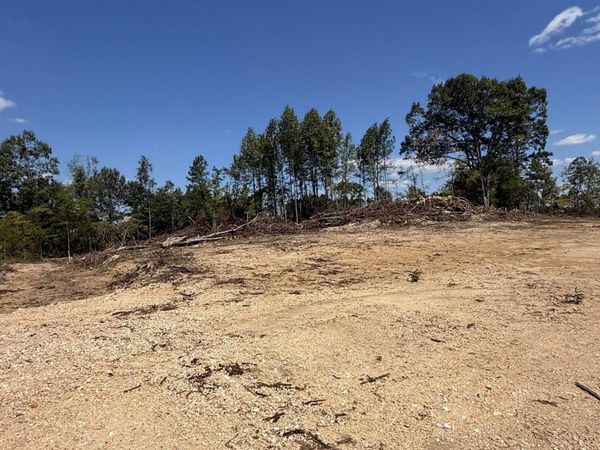 0 Whiskey Ridge Road, Paris, TN 38242