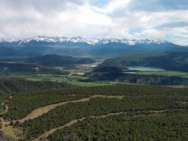 TBD County Road 4 , Ridgway, CO 81432