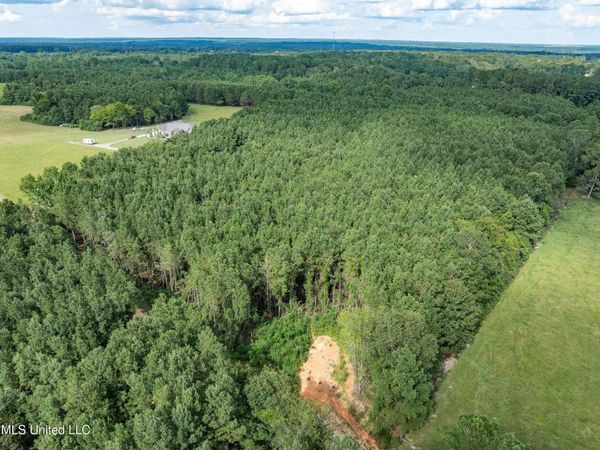 Parcel C J. Runnels Road, Petal, MS 39465