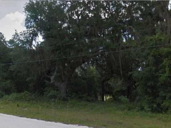 SE 178TH AVE, SILVER SPRINGS, FL 34488