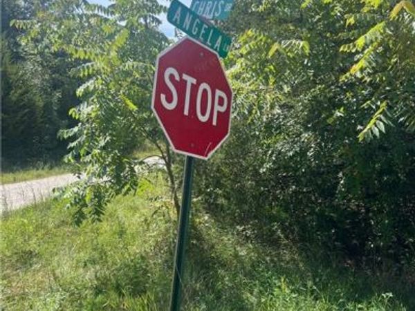 Angela Lane, Excelsior Springs, MO 64024