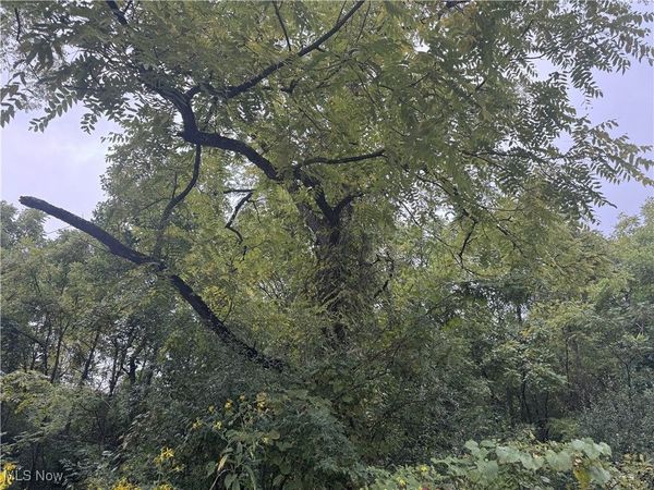 V/L Miltonsburg-Calais Road, Woodsfield, OH 43793