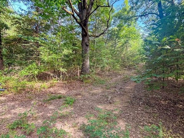 Kenneth Lane, Houston, AR 72070