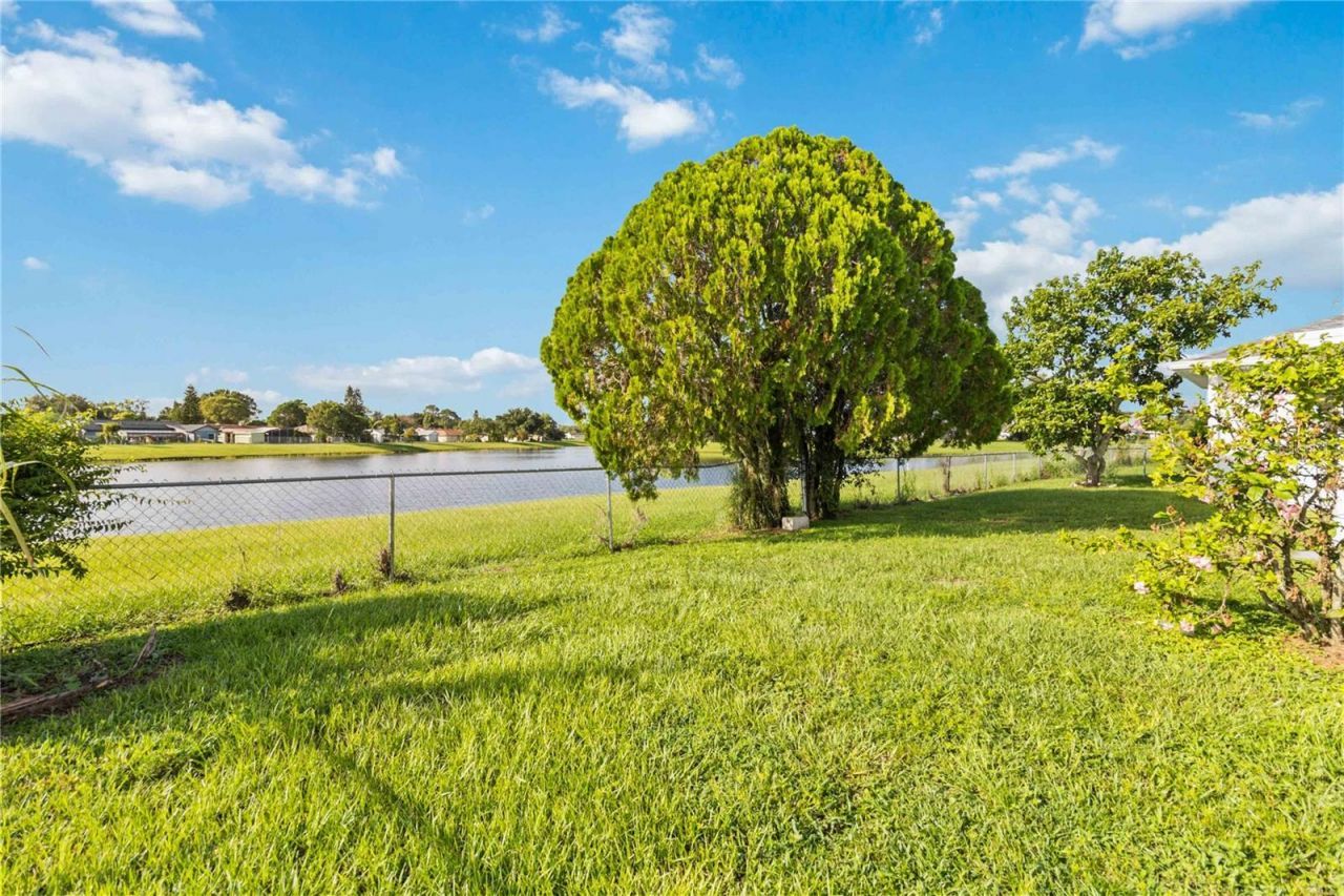 371 Buttonwood Drive, Kissimmee, FL 34743 Photo