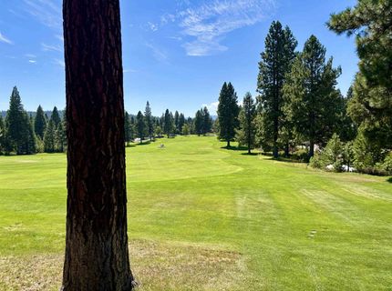 103 Highwood Circle, Lake Almanor, CA 96137 Photo