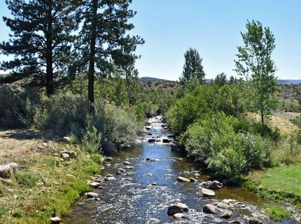 827 River Ranch Road, Markleeville, CA 96120 Photo