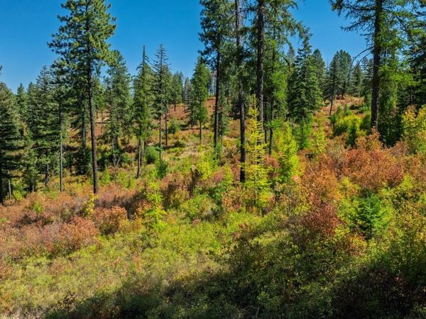 NKA O'reilly Road, Princeton, ID 83857