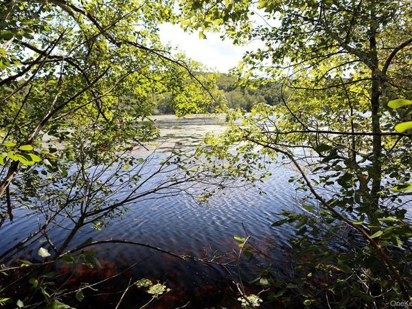 TBD George Segar Road, Swan Lake, NY 12783