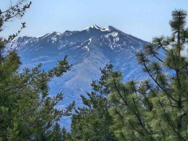 Marks Creek Road, Mount Vernon, OR 97865