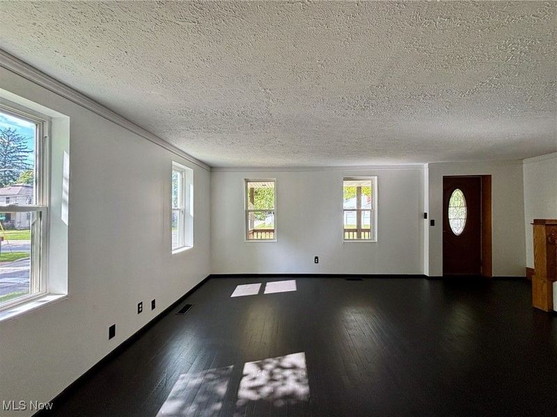 125 Bank Street, Lodi, OH 44254 Photo 5