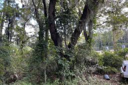 1018 Martin Luther King Rd. photo 4