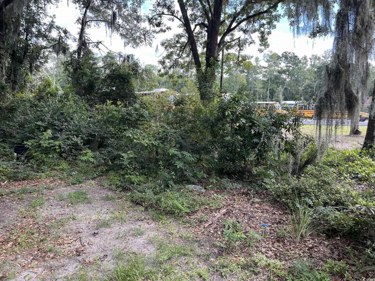 1018 Martin Luther King Rd. Photo 4