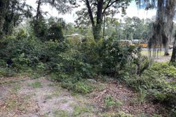 1018 Martin Luther King Rd. photo 4