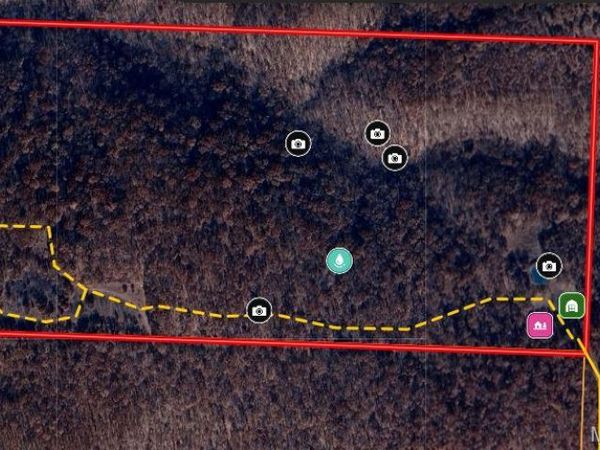 1038 Mug Drive, Macks Creek, MO 65786