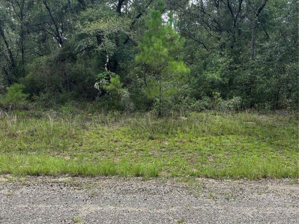 875 E ELSTON PLACE, CITRUS SPRINGS, FL 34434