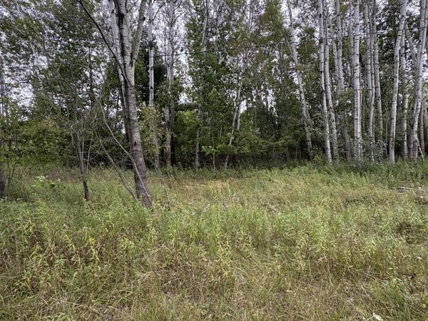 Coocpa- Lake Miramachi, Unit lots 455,, Evart, MI 49631