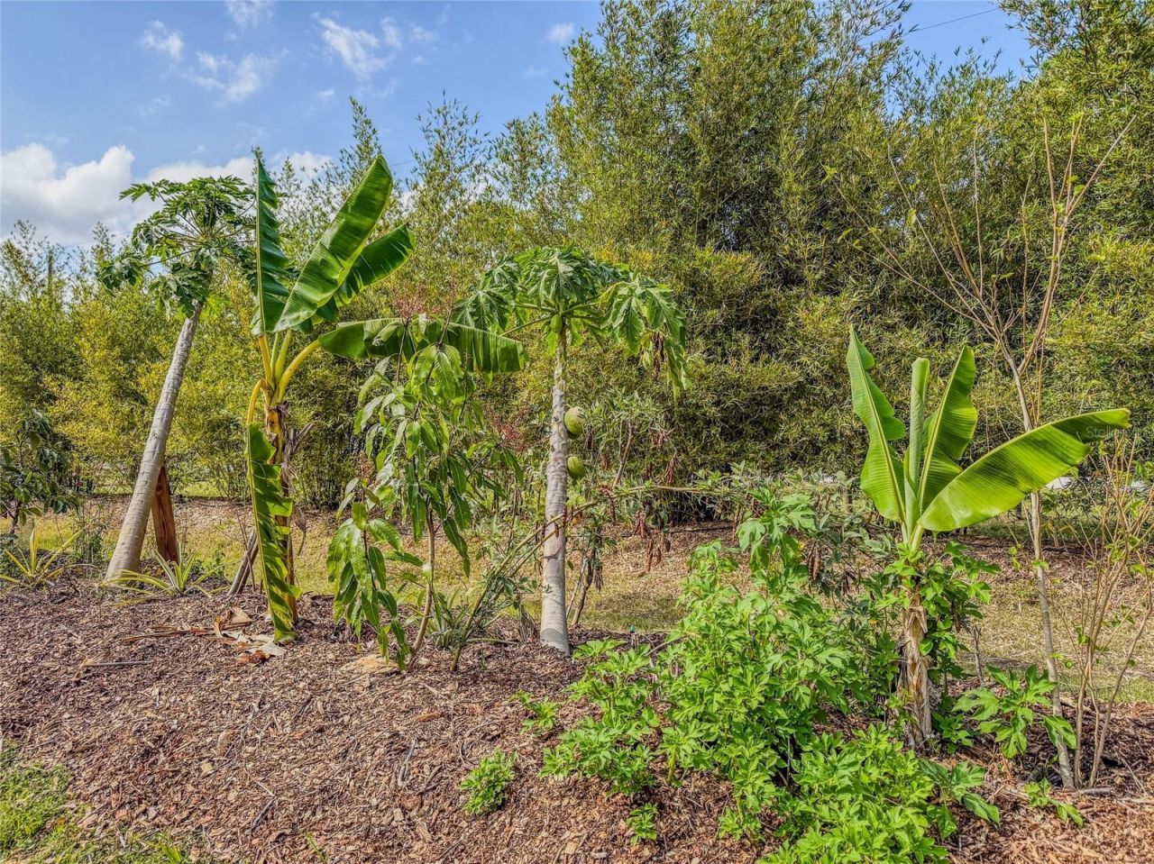 24549 Nova Lane, Punta Gorda, FL 33980 Photo