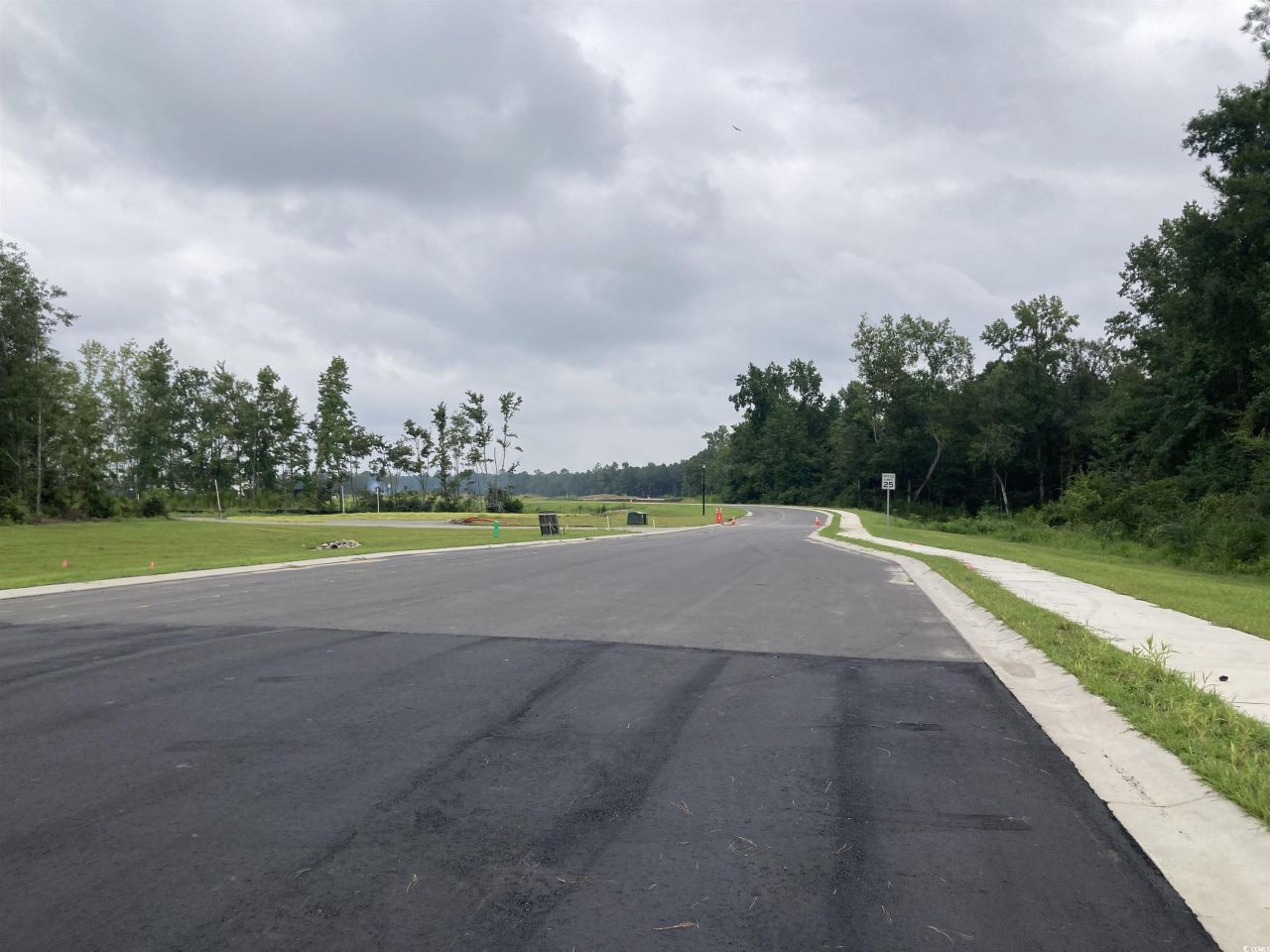 141 River Birch Dr. Photo 32