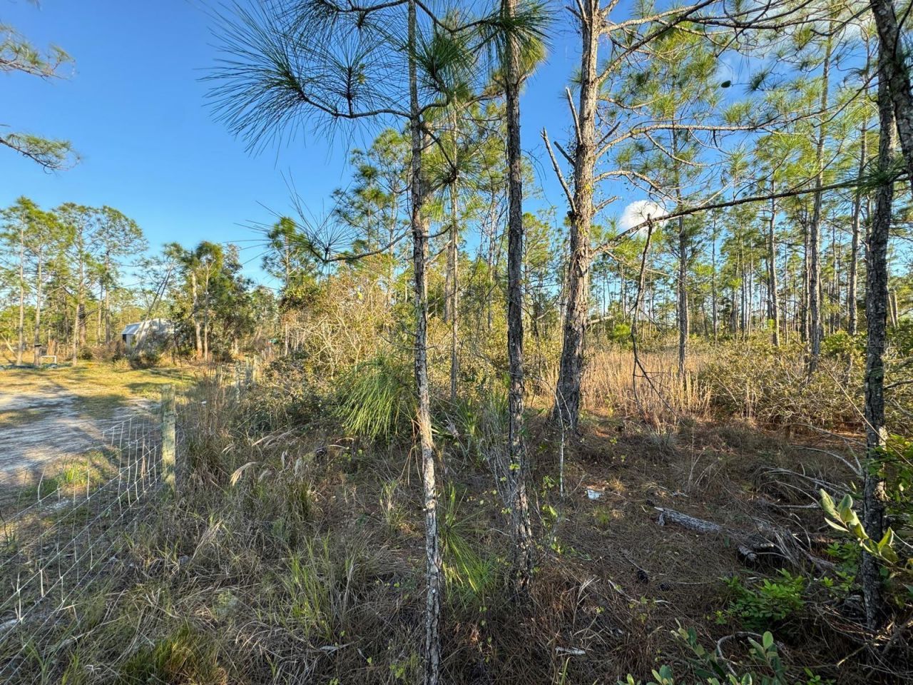 8108 Austrian Boulevard, Punta Gorda, FL 33982 Photo