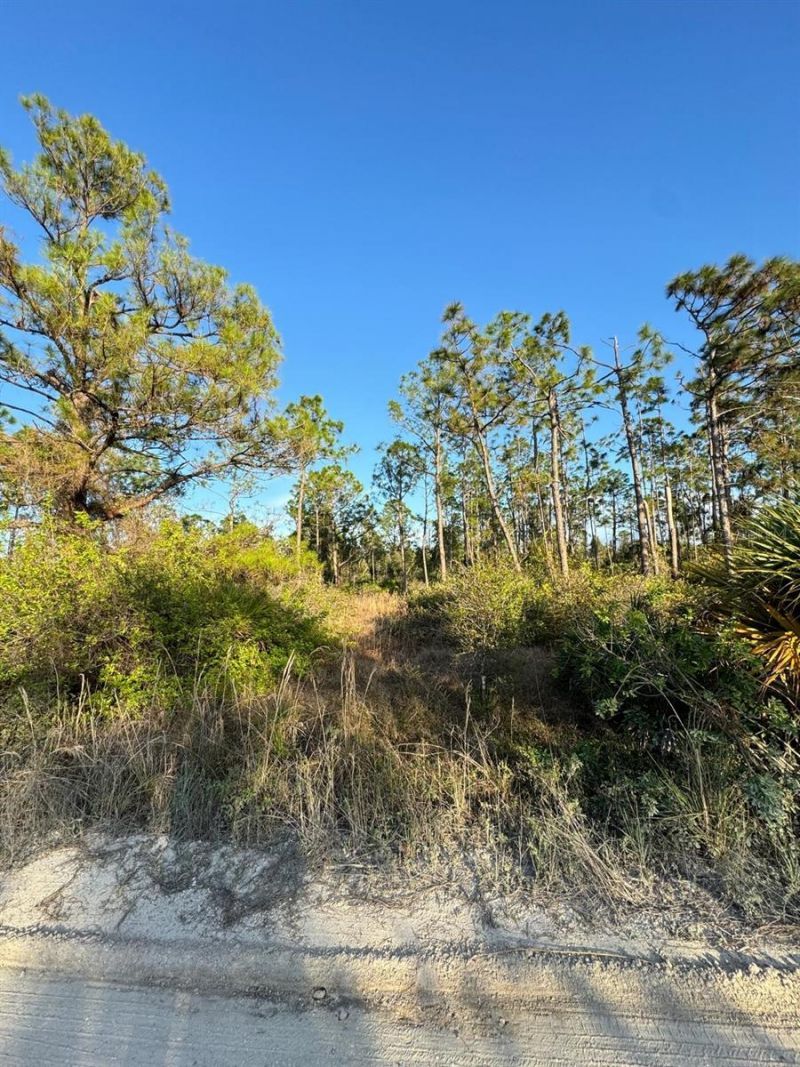 8108 Austrian Boulevard, Punta Gorda, FL 33982 Photo