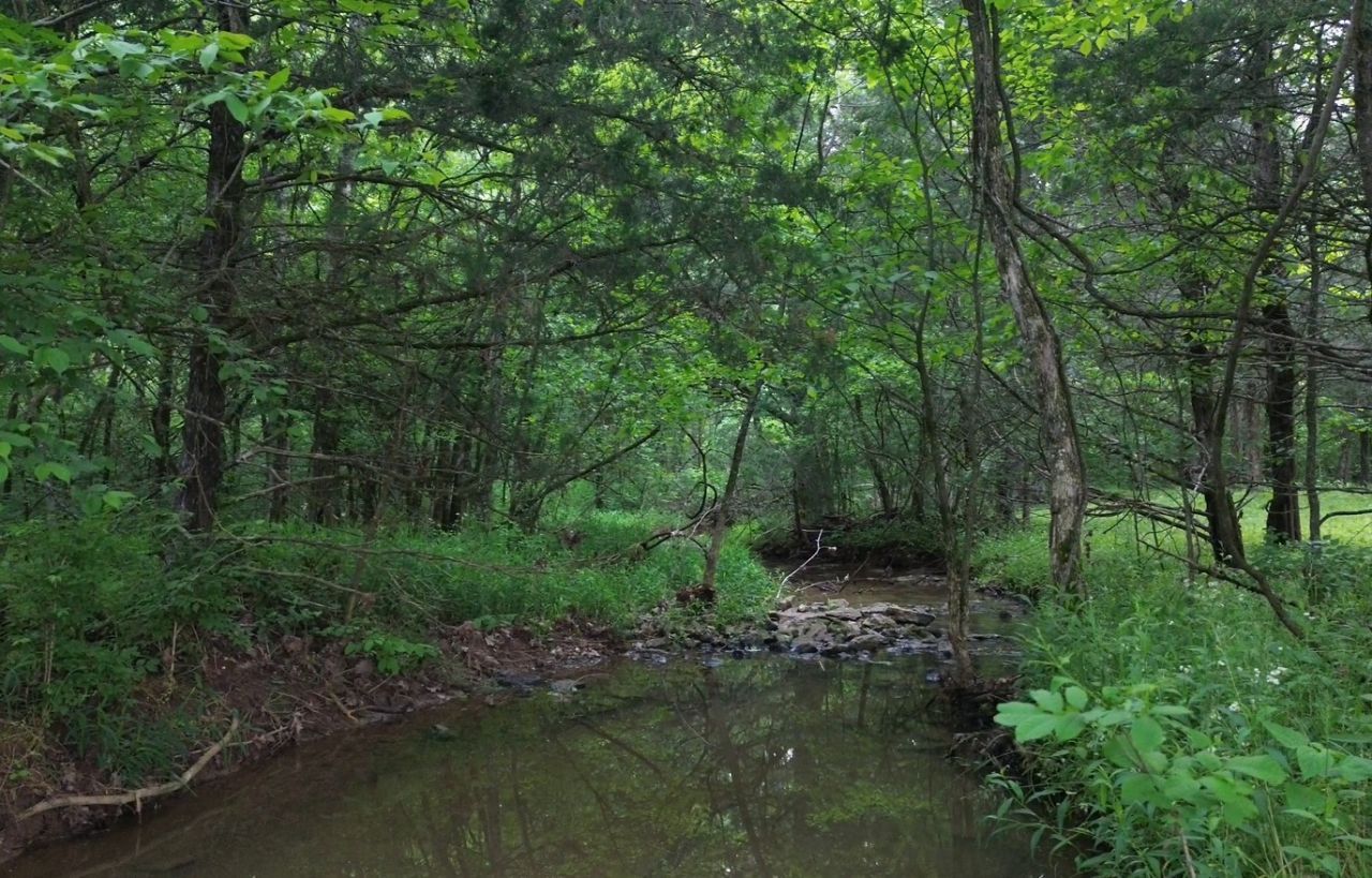 0 Simpson Ln, Columbia, TN 38401 Main Photo