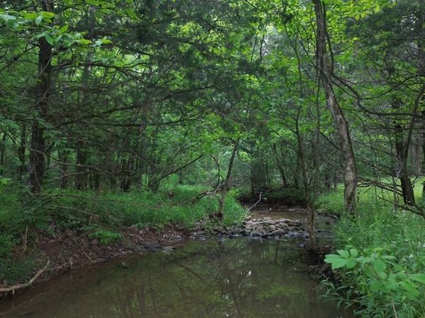 0 Simpson Ln, Columbia, TN 38401