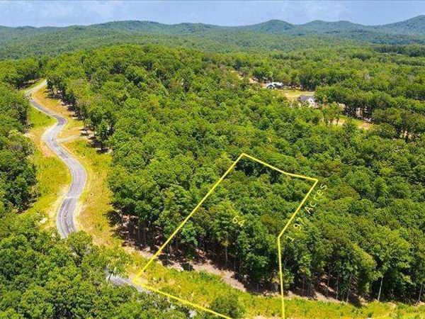 0 Ridge Drive, Unit LOT #64, Morganton, GA 30560